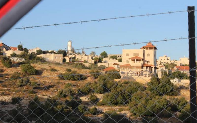 بالصور: في قلب الخليل.. أودية تركت للمجهول