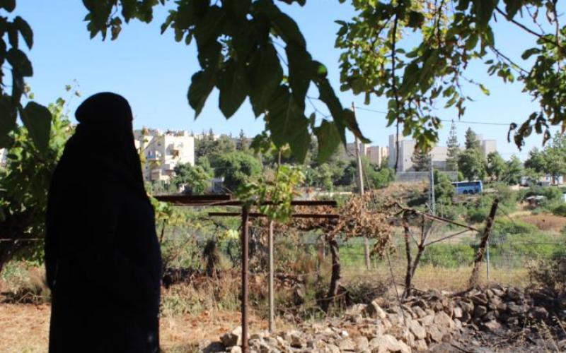 بالصور: في قلب الخليل.. أودية تركت للمجهول