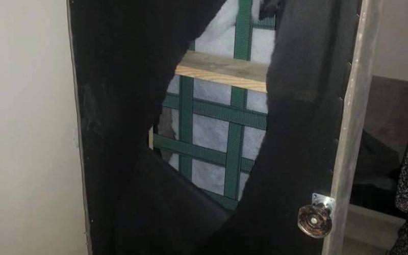 صور: الاحتلال يقتحم "خربثا" ويعبها فساداً