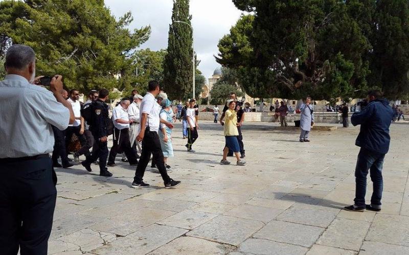 صور‬: مستوطنون يقتحمون الأقصى‬ صباح اليوم