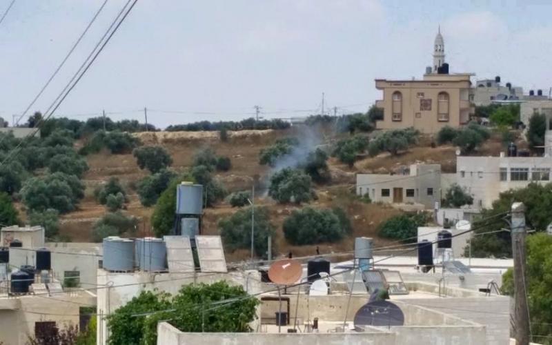 صور: قمع الاحتلال لمسيرة النبي صالح