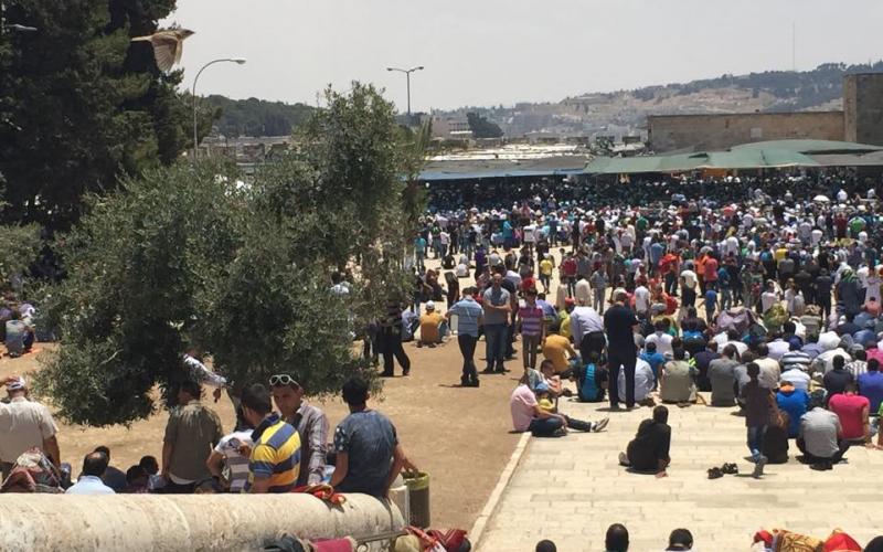 صور: الآلاف يصلون في المسجد الأقصى