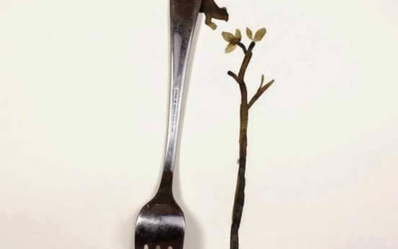 صور: الإبـداعُ فــي الرّسم