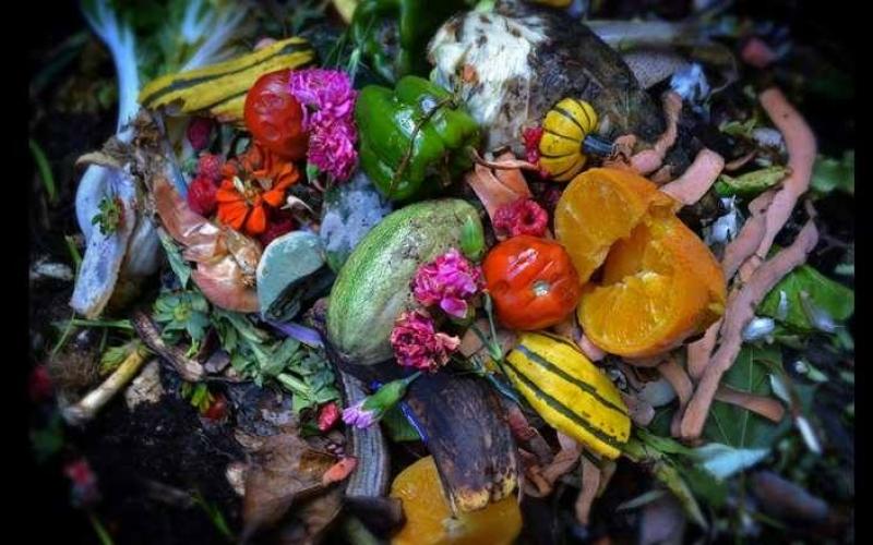 صور: جمال بين أكوام النفايات
