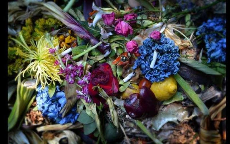 صور: جمال بين أكوام النفايات