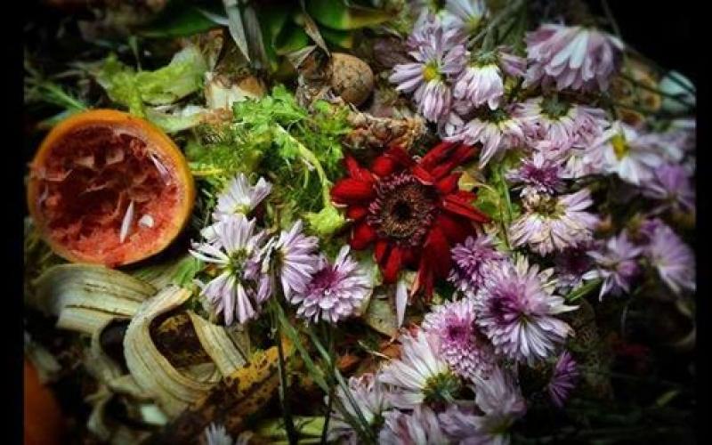 صور: جمال بين أكوام النفايات