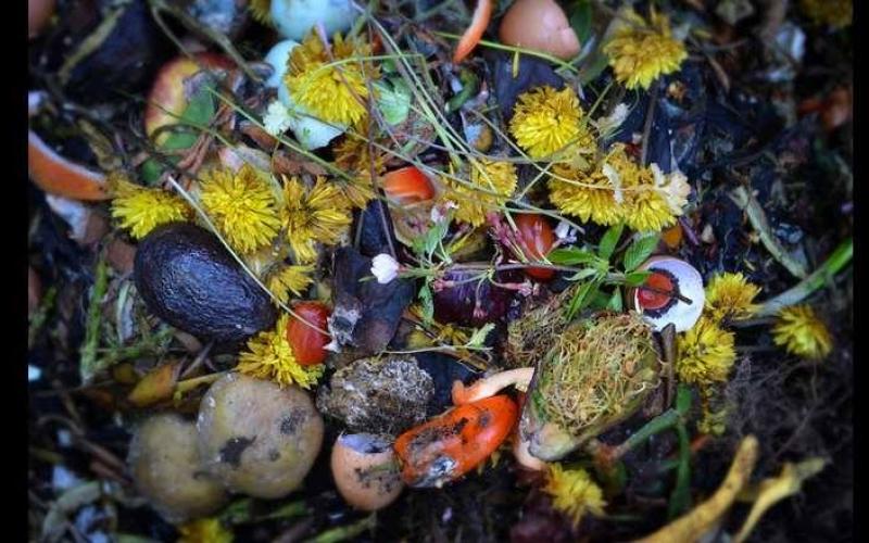 صور: جمال بين أكوام النفايات