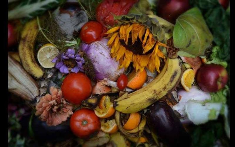 صور: جمال بين أكوام النفايات