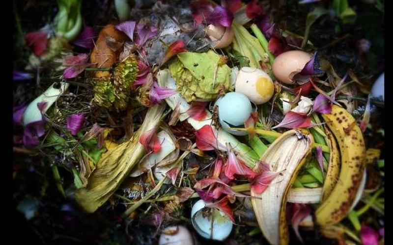صور: جمال بين أكوام النفايات
