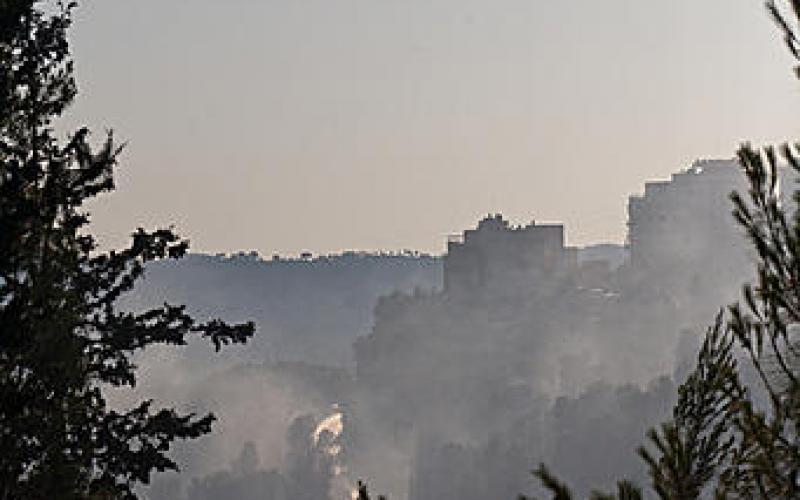 بالصور..ألسنة النار تشتعل في غابة القدس