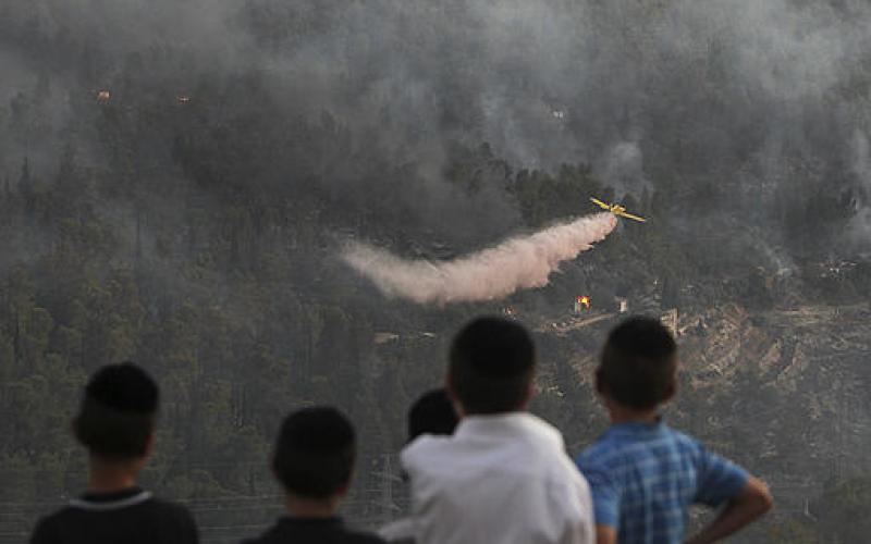 بالصور..ألسنة النار تشتعل في غابة القدس