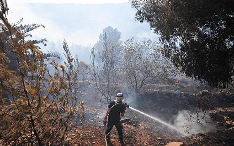 بالصور..ألسنة النار تشتعل في غابة القدس