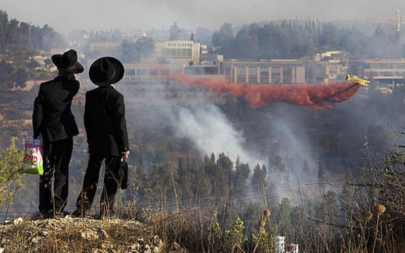 بالصور..ألسنة النار تشتعل في غابة القدس