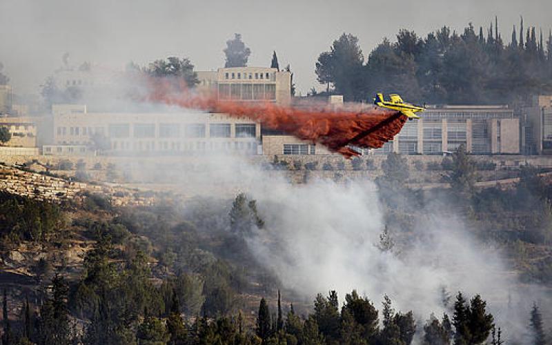 بالصور..ألسنة النار تشتعل في غابة القدس