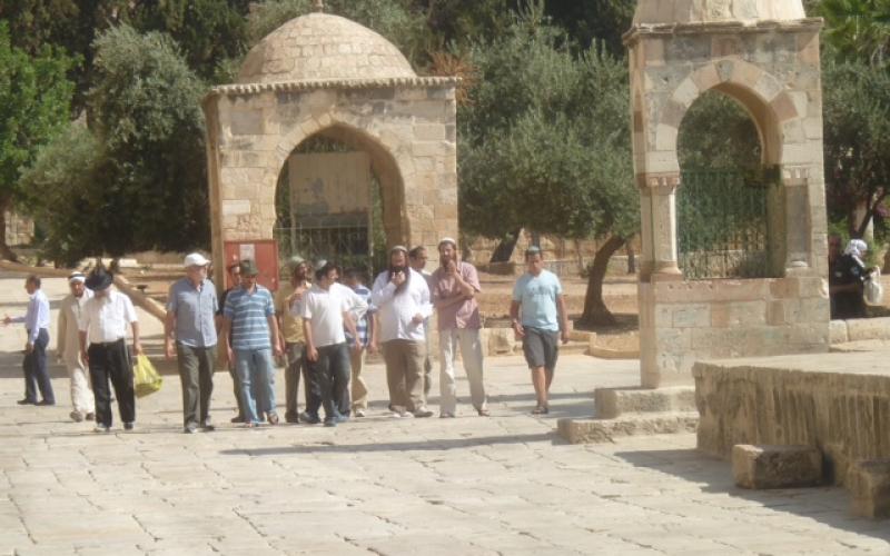 بالصور.. مجموعات المغتصبين تدنّس الأقصى