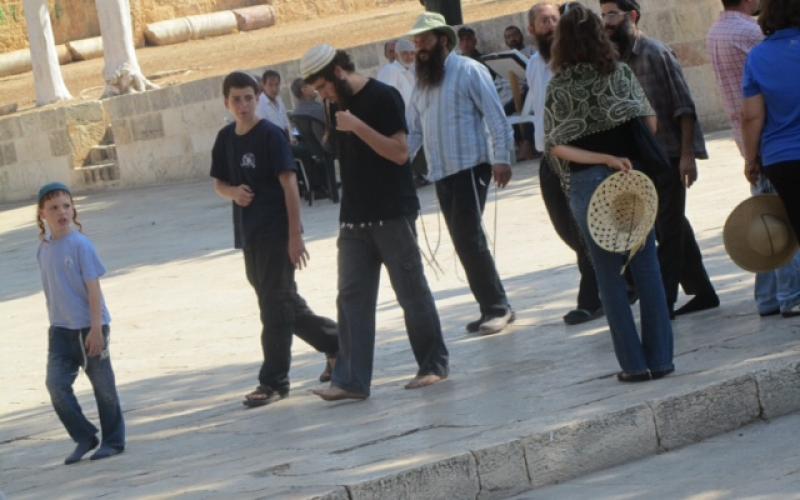 بالصور.. قطعان المغتصبين يستبيحون الأقصى