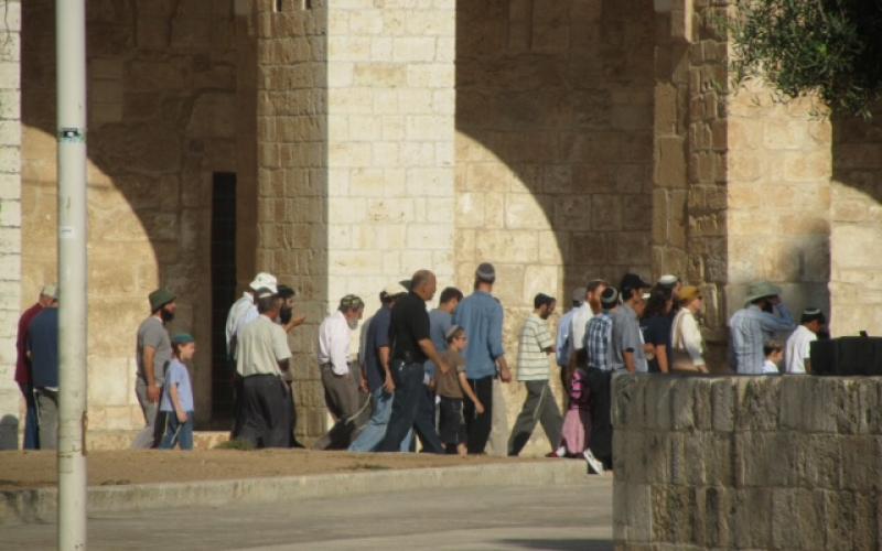 بالصور.. قطعان المغتصبين يستبيحون الأقصى