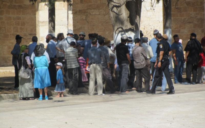 بالصور.. قطعان المغتصبين يستبيحون الأقصى