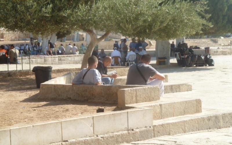صور..المرابطون يُفشِلون مخطط لتدنيس الأقصى