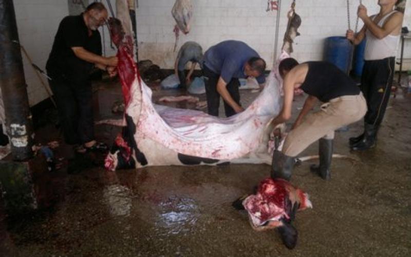 بالصور.. حماس تواصل جهودها لإغاثة الفقراء