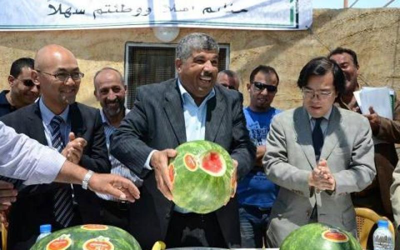 بالصور: "حرب البطيخ" تشتعل في فلسطين