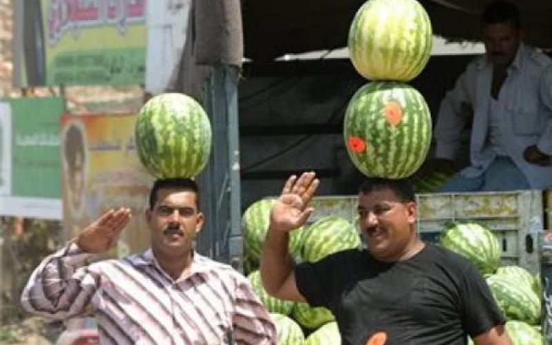بالصور: "حرب البطيخ" تشتعل في فلسطين
