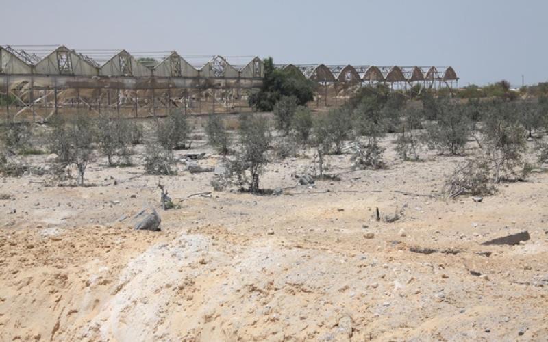 صور: دمار بالدفيئات الزراعية بخانيونس