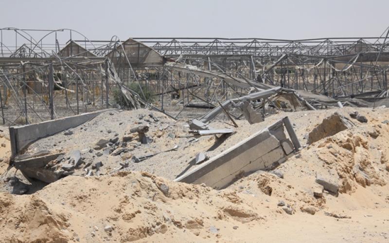 صور: دمار بالدفيئات الزراعية بخانيونس