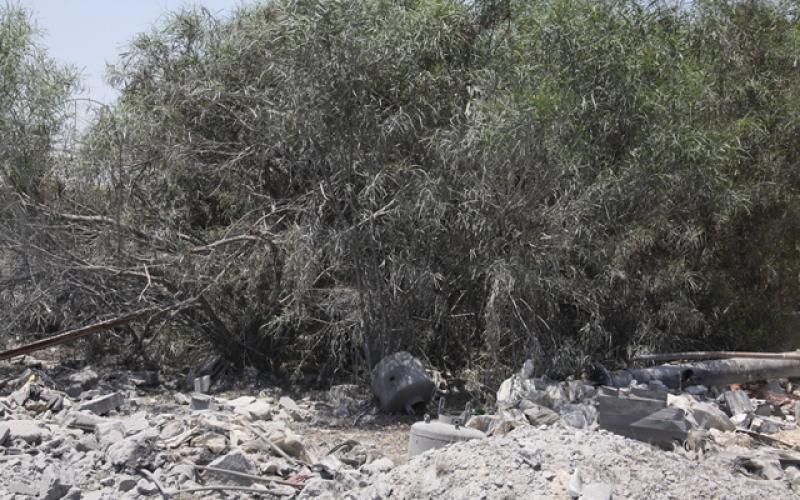 صور: دمار بالدفيئات الزراعية بخانيونس