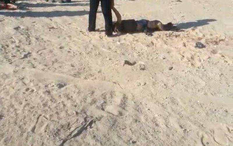 صور: الاحتلال يستهدف مواطنين في خانيونس