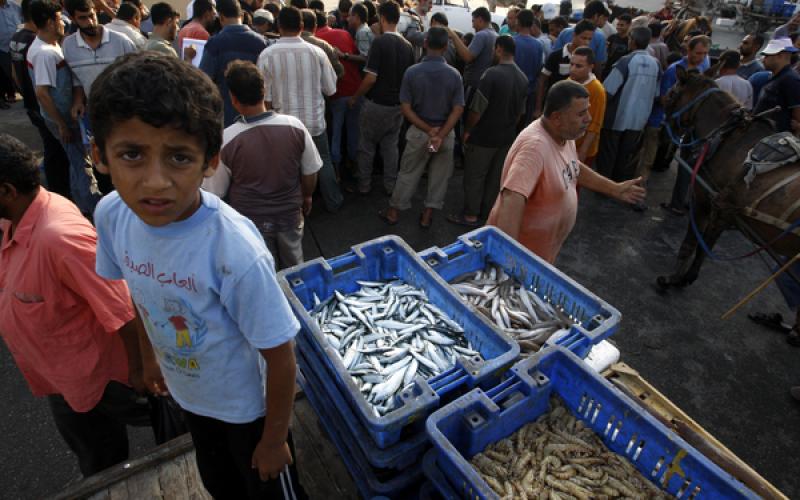 بالصور.. حسبة السمك في غزة
