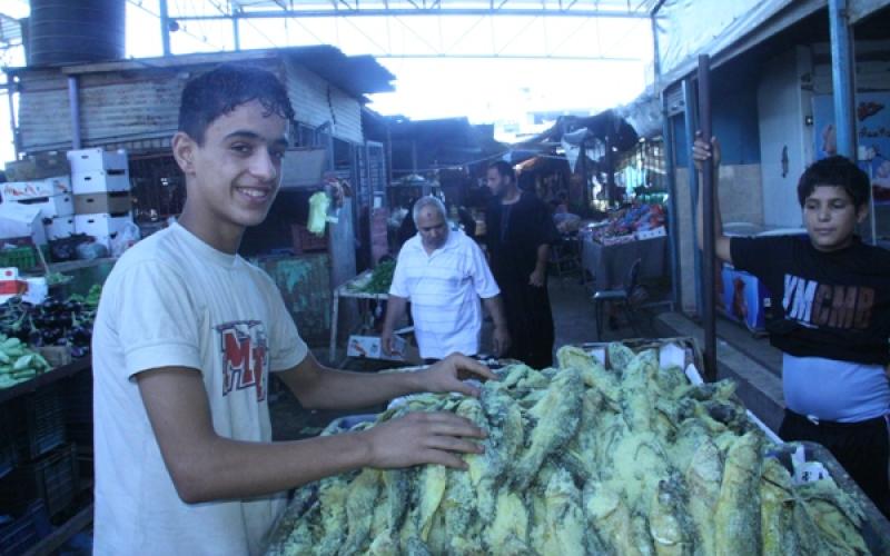صور .. الفسيخ زينة العيد
