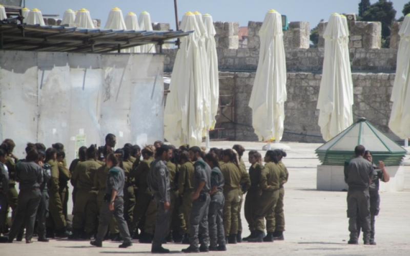 صور..مجندات يقتحمن ويدنّسن المسجد الأقصى