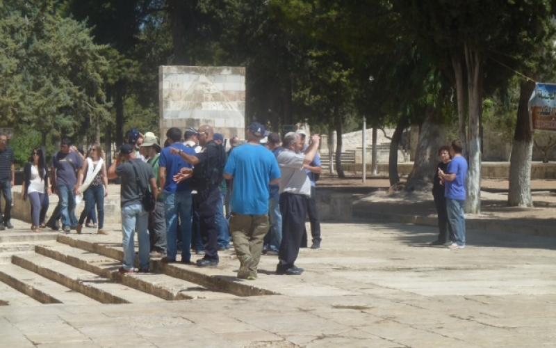 صور..مجندات يقتحمن ويدنّسن المسجد الأقصى