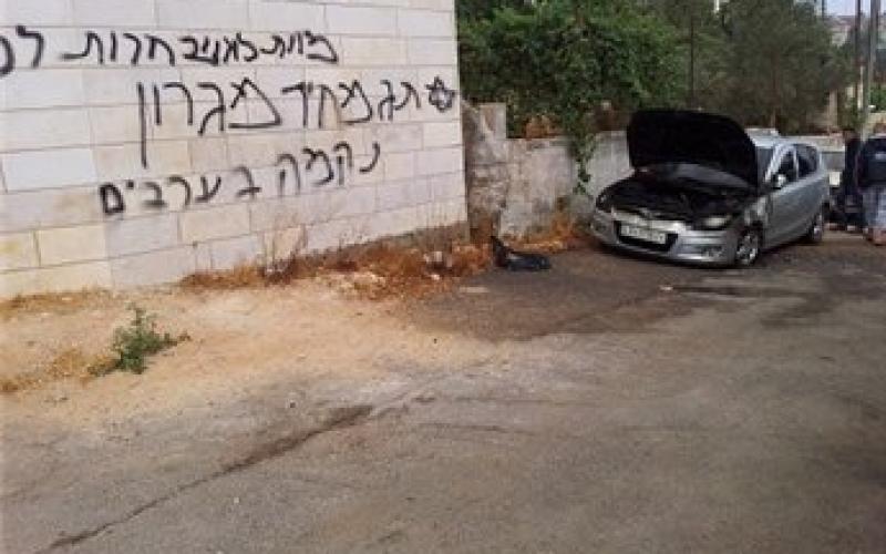 بالصور.. المغتصبون يعربدون شرق رام الله