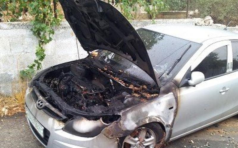 بالصور.. المغتصبون يعربدون شرق رام الله