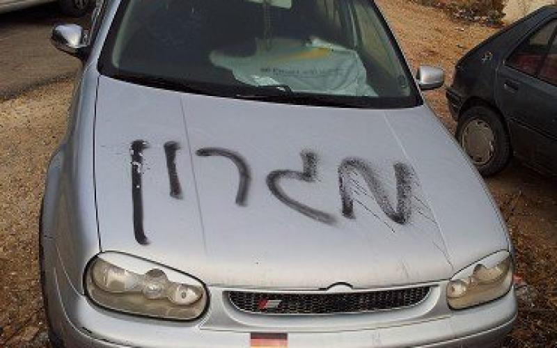 بالصور.. المغتصبون يعربدون شرق رام الله