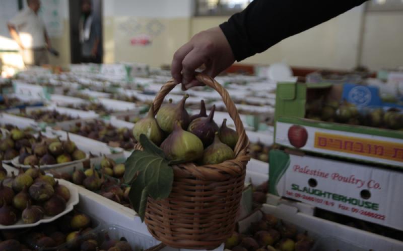 صور: مهرجان لبيع "التين" في نابلس