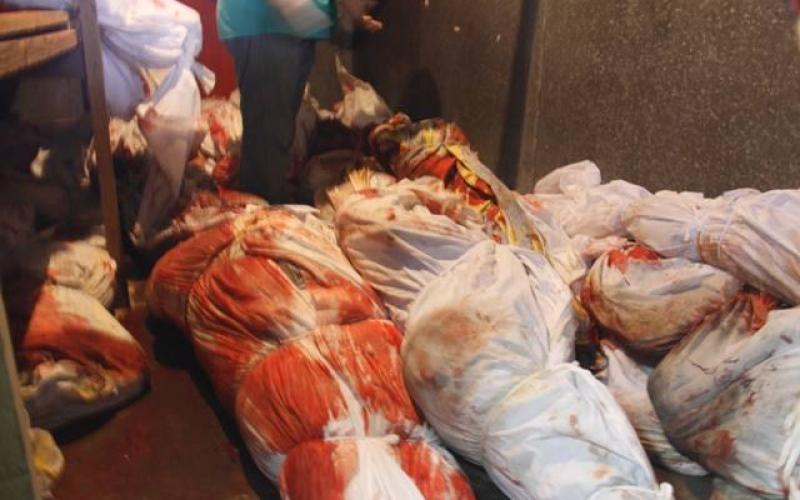 صور: شهداء رفح بثلاجات الخضار والبوظة
