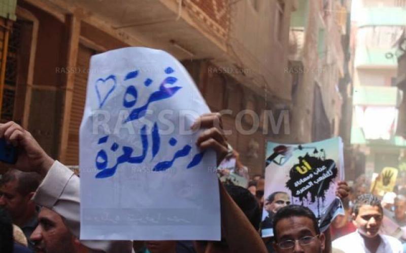 صور: القليوبية في مصر تتضامن مع غزة
