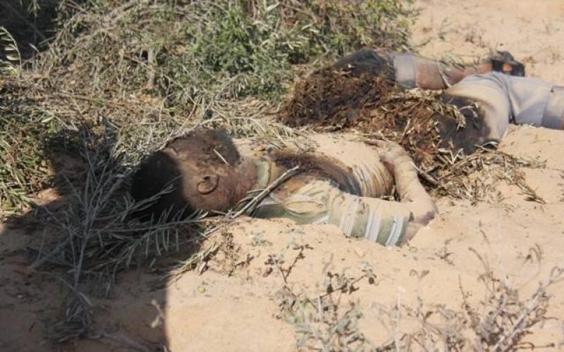 صور: انتشال جثامين الشهداء برفح مع التهدئة