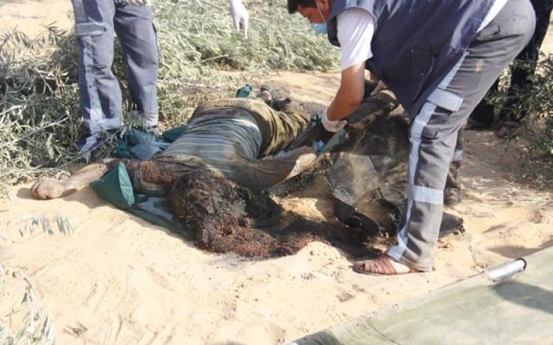 صور: انتشال جثامين الشهداء برفح مع التهدئة