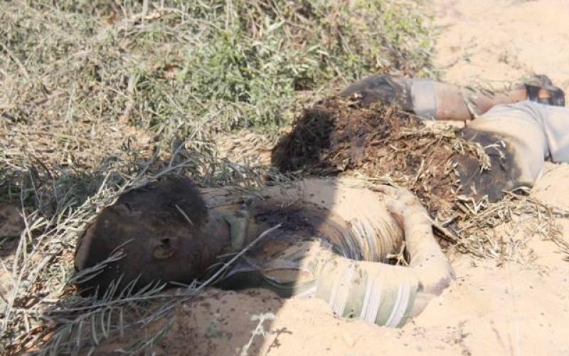 صور: انتشال جثامين الشهداء برفح مع التهدئة