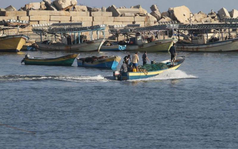 صور: صيادو غزة يعملون في أيام التهدئة