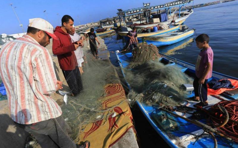 صور: صيادو غزة يعملون في أيام التهدئة