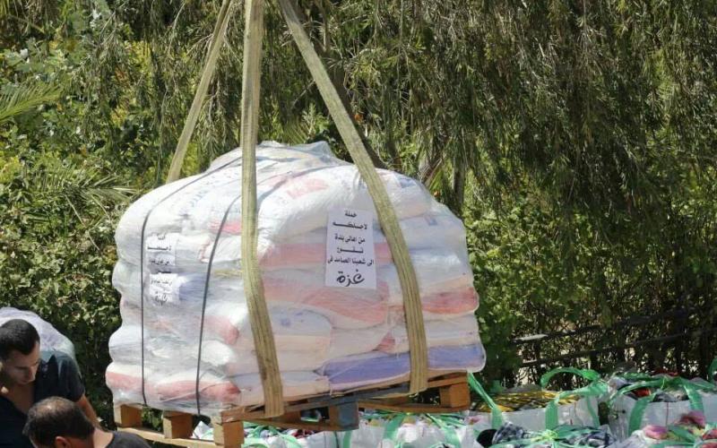 صور: "حملة لأجلكم" من بلدة تقوع جنوب بيت لحم