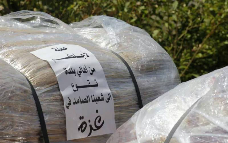 صور: "حملة لأجلكم" من بلدة تقوع جنوب بيت لحم