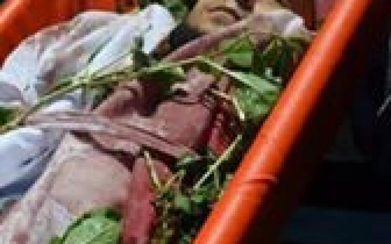 صور: الشهيد الداعية حازم أحمد أبو مراد