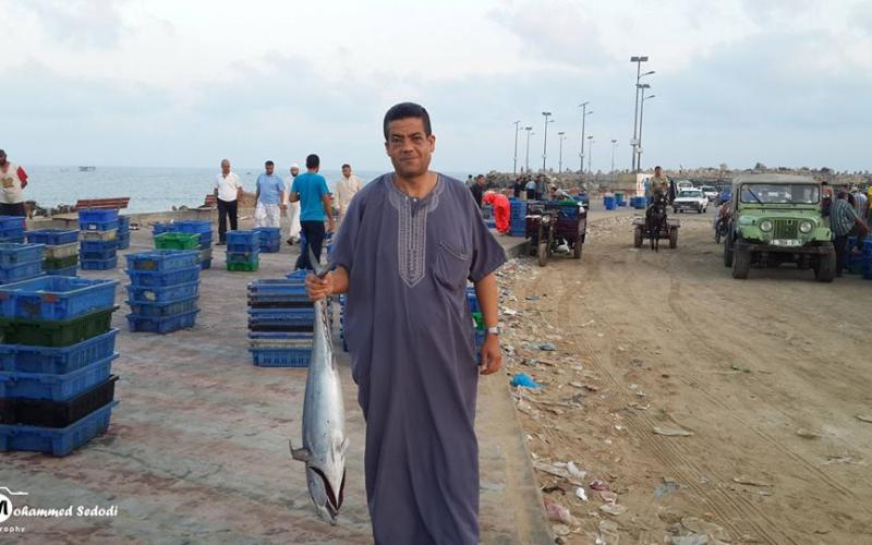 صور: صيد وفير على مسافة 6 ميل