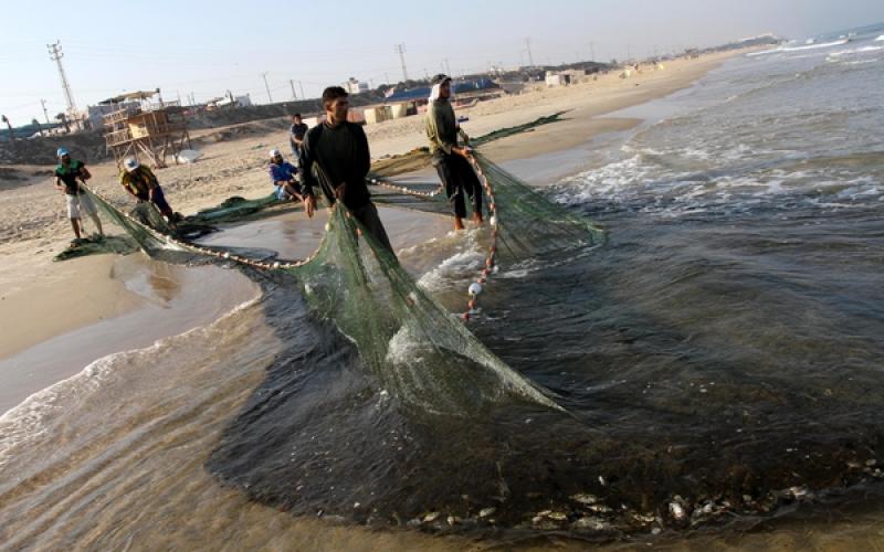 صور..صيد الأسماك في بحر غزة